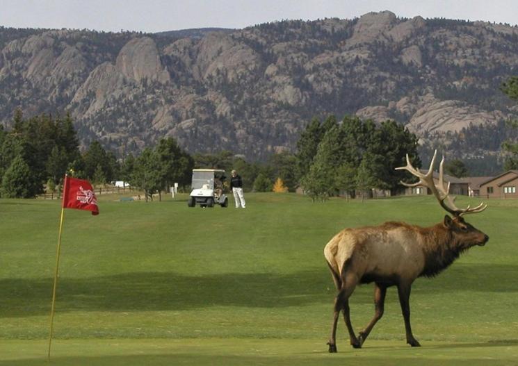 Lily Mountain Lodge - Amazing Mountains Views, Private Hot Tub, Great Location Estes Park Exteriör bild